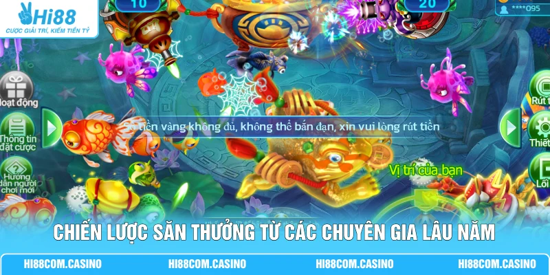Chiến lược săn thưởng từ các chuyên gia lâu năm
